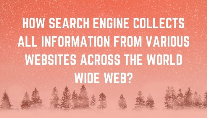 How Does Search Engine Collect All Information From Various Websites Across The World Wide Web?