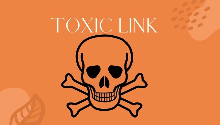 What Is A Toxic Link? How Can We Say It Is A Toxic Link. What Can We Do To Remove Toxic Link From A Site?