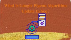 What Is Google Pigeon Algorithm Update In Seo?
